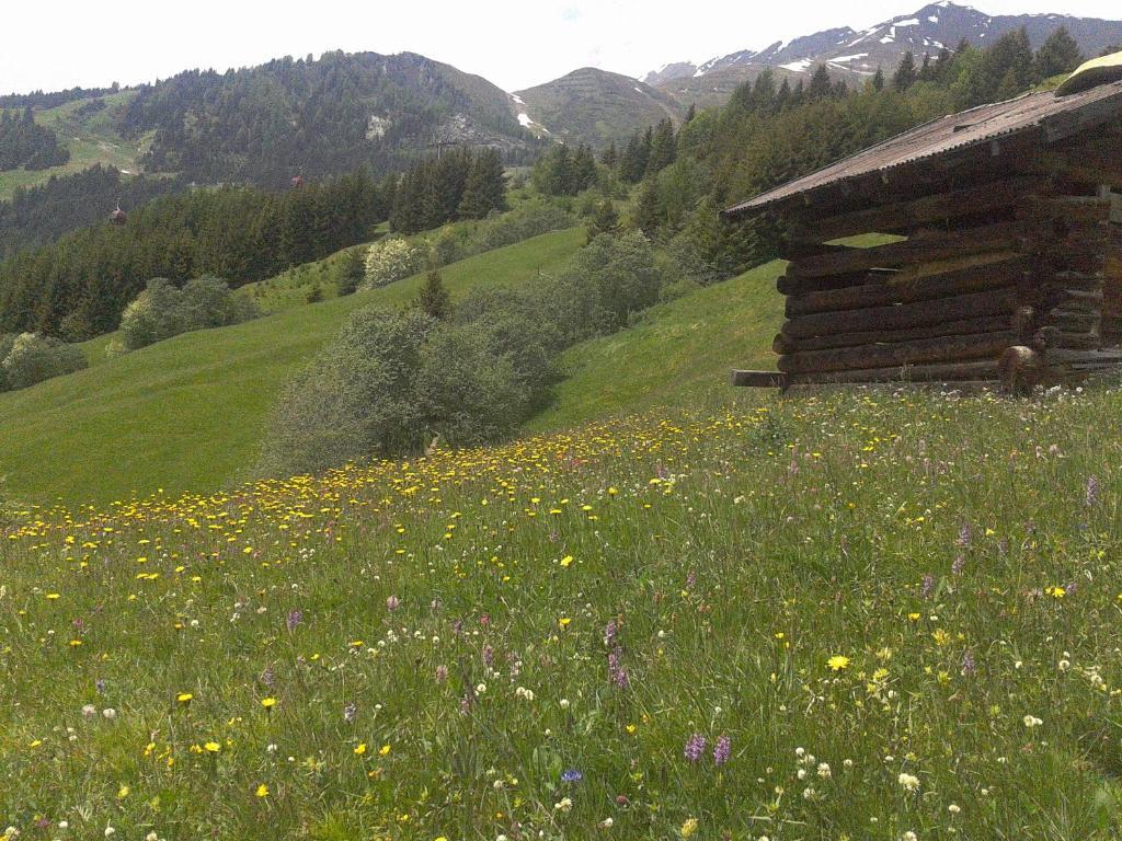 Apart Panoramablick Kaunerberg Exteriér fotografie